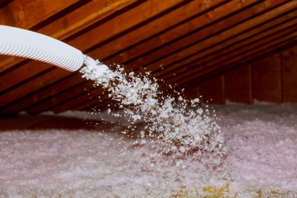 Best Eco-Friendly Insulation in Woodville, OH