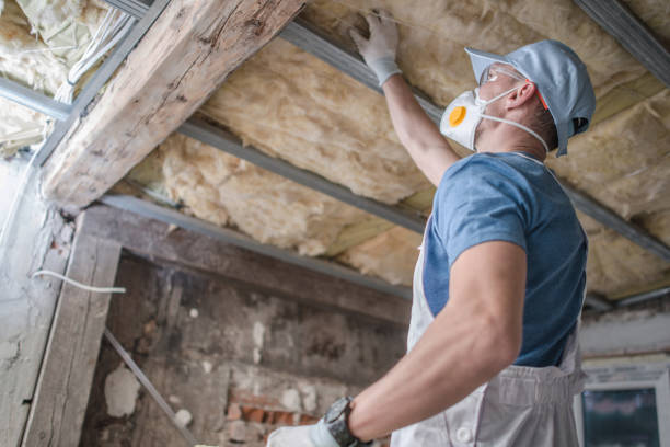 Best Residential Insulation in Woodville, OH