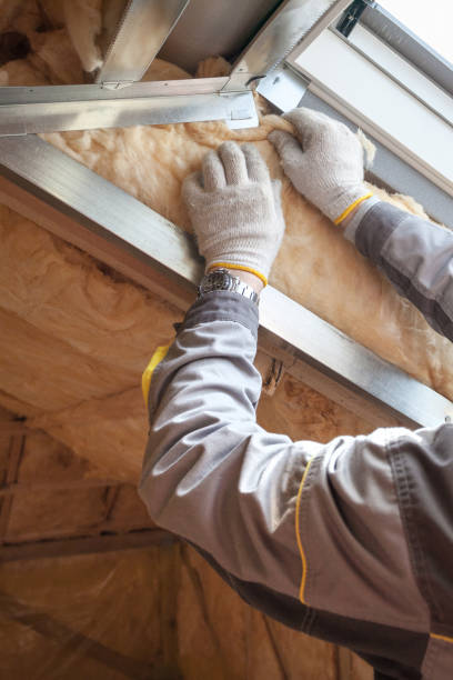 Best Specialized Insulation Services in Woodville, OH