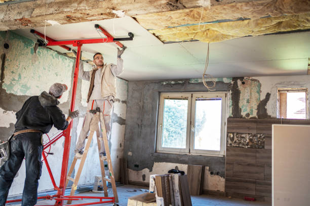 Best Cellulose Insulation in Woodville, OH