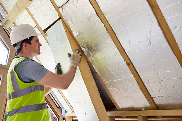 Best DIY Insulation Kits and Guidance in Woodville, OH