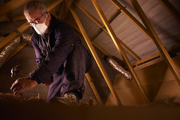 Best Geographic-Specific Insulation Services in Woodville, OH